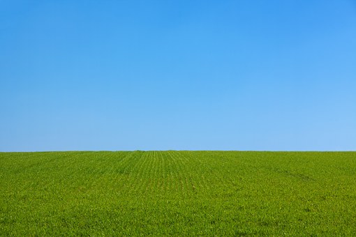 アレルギー シックハウス 安い 早い 速乾 張替不要 壁紙 タバコ ヤニ 対策 補修 清潔 きれい